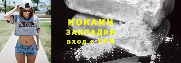 прущие грибы Сосновый Бор
