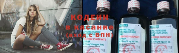 прущие грибы Сосновый Бор