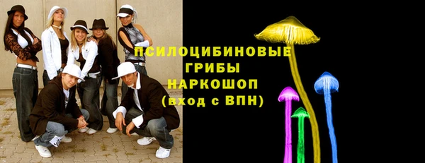 прущие грибы Сосновый Бор