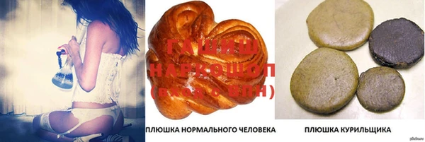 прущие грибы Сосновый Бор