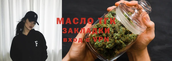 прущие грибы Сосновый Бор