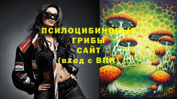 прущие грибы Сосновый Бор