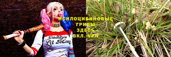 метадон Сосновоборск