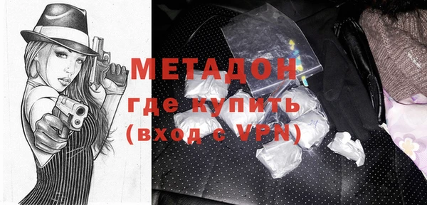 прущие грибы Сосновый Бор