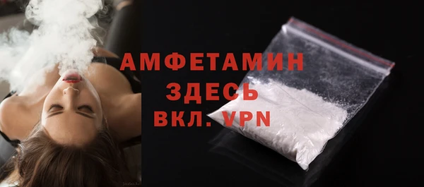прущие грибы Сосновый Бор
