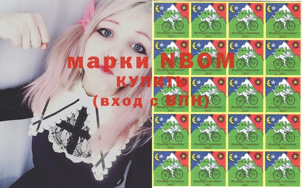 прущие грибы Сосновый Бор