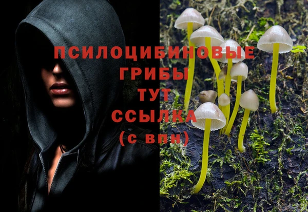 метадон Сосновоборск