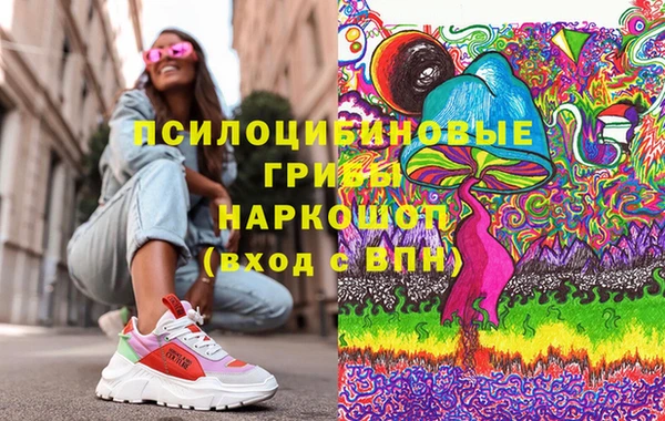 прущие грибы Сосновый Бор