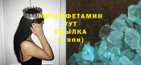 прущие грибы Сосновый Бор