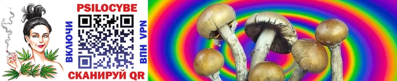 Галлюциногенные грибы GOLDEN TEACHER  закладка  Кемерово 