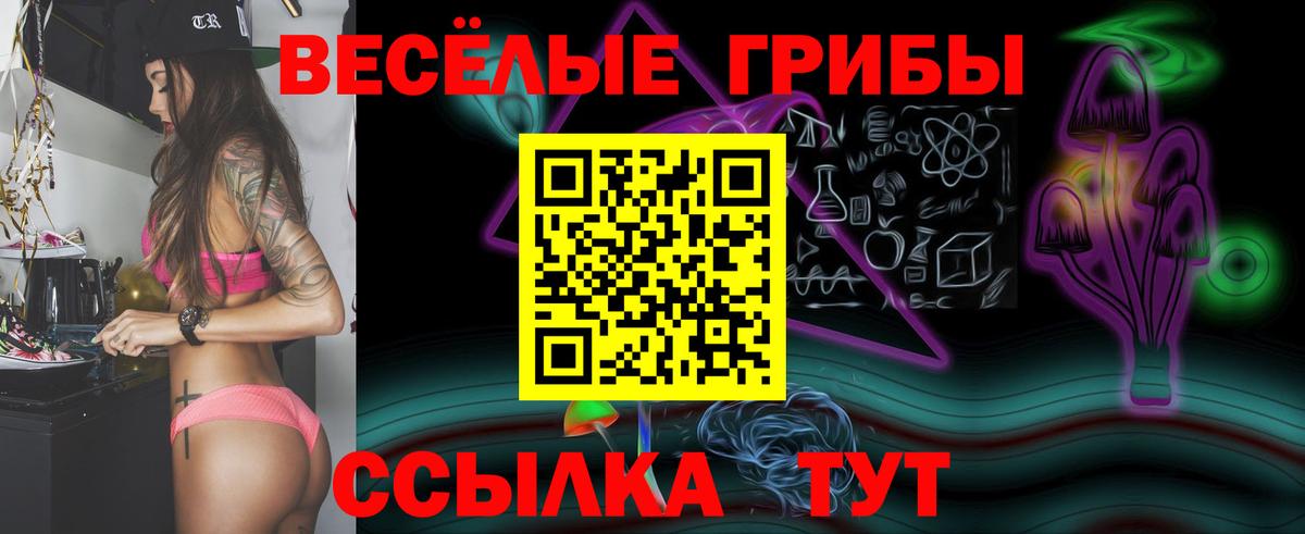 Псилоцибиновые грибы Psilocybine cubensis  Вход с VPN  что такое наркотик  Галлюциногенные грибы Psilocybe  Кемерово 