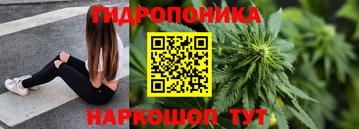Конопля индика Кемерово